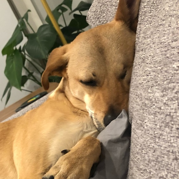 Meet your Posher, Theresa - Picture 1 of 1